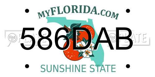 586DAB Florida License Plate