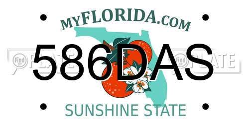 586DAS Florida License Plate