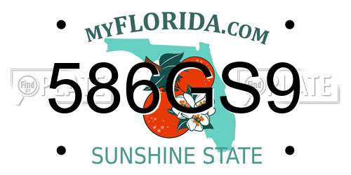 586GS9 Florida License Plate