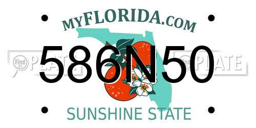 586N50 Florida License Plate
