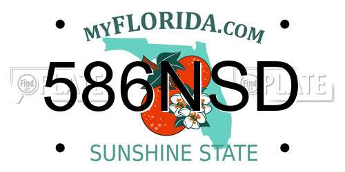 586NSD Florida License Plate