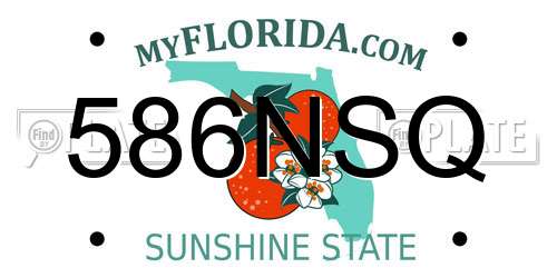 586NSQ Florida License Plate