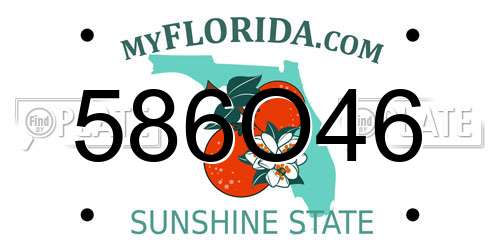 586O46 Florida License Plate