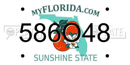 586O48 Florida License Plate