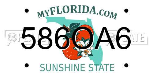 586OA6 Florida License Plate