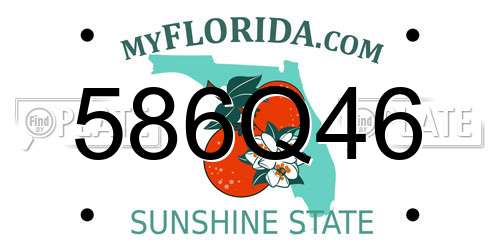 586Q46 Florida License Plate