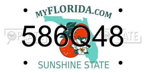 586Q48 Florida License Plate