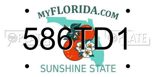 586TD1 Florida License Plate