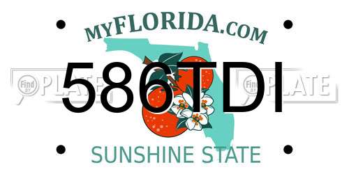586TDI Florida License Plate