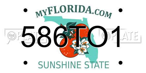 586TO1 Florida License Plate