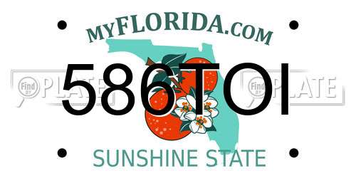 586TOI Florida License Plate