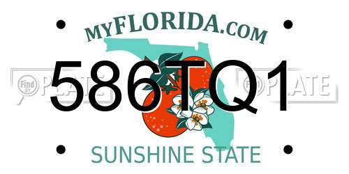 586TQ1 Florida License Plate