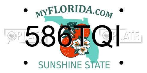 586TQI Florida License Plate