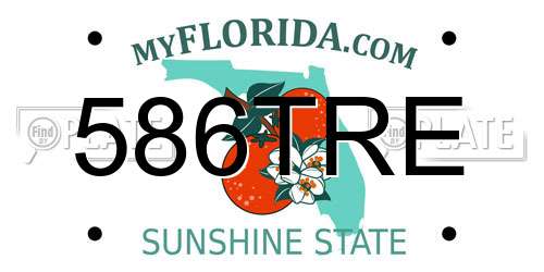 586TRE Florida License Plate