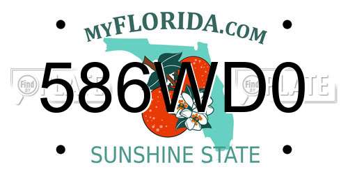 586WD0 Florida License Plate