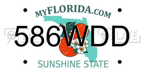 586WDD Florida License Plate