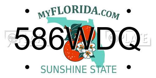 586WDQ Florida License Plate