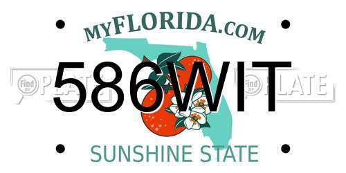 586WIT Florida License Plate