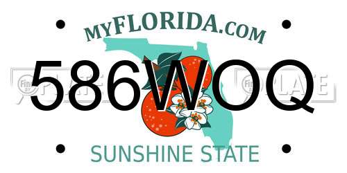 586WOQ Florida License Plate