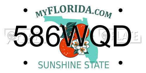 586WQD Florida License Plate