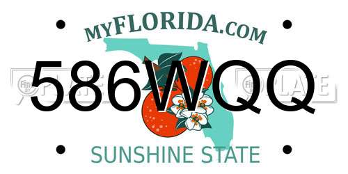 586WQQ Florida License Plate