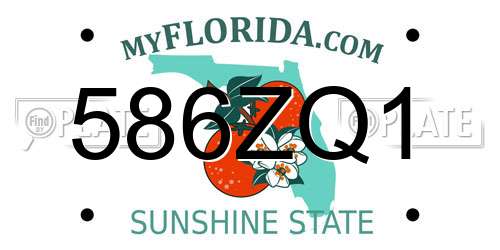 586ZQ1 Florida License Plate