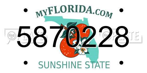 5870228 Florida License Plate