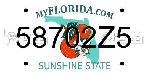 58702Z5 Florida License Plate