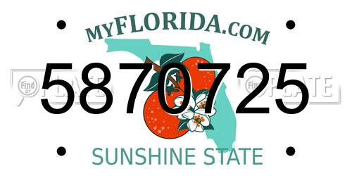 5870725 Florida License Plate