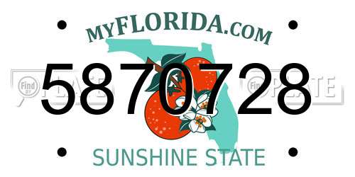 5870728 Florida License Plate