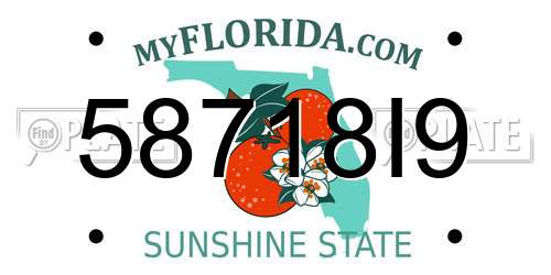 58718I9 Florida License Plate