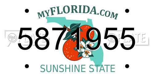 5871955 Florida License Plate