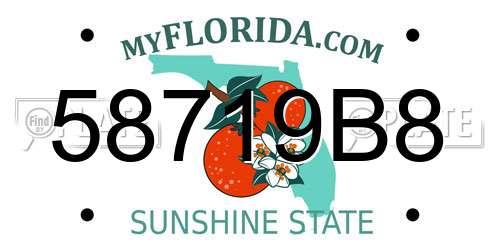 58719B8 Florida License Plate