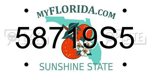 58719S5 Florida License Plate