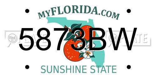 5873BW Florida License Plate