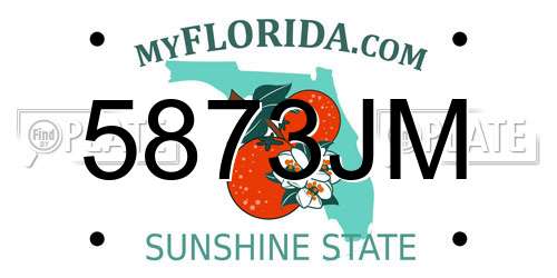 5873JM Florida License Plate