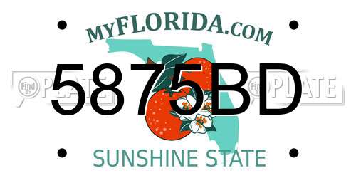 5875BD Florida License Plate