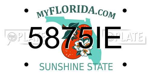 5875IE Florida License Plate