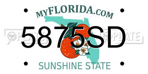5875SD Florida License Plate