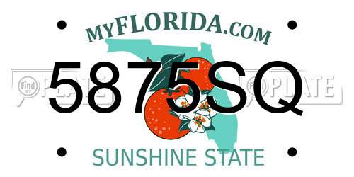 5875SQ Florida License Plate