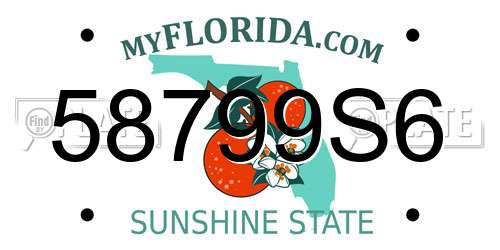 58799S6 Florida License Plate