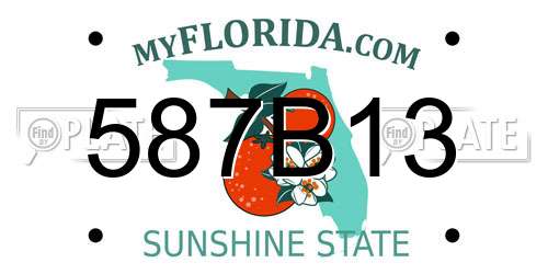 587B13 Florida License Plate