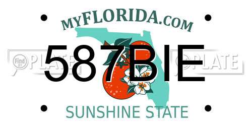 587BIE Florida License Plate