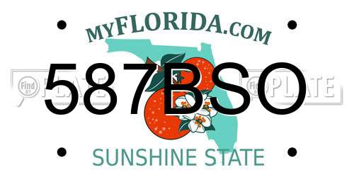 587BSO Florida License Plate