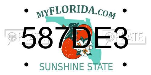 587DE3 Florida License Plate