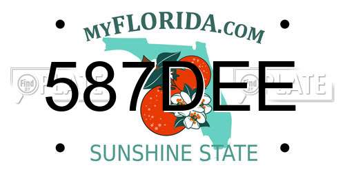587DEE Florida License Plate
