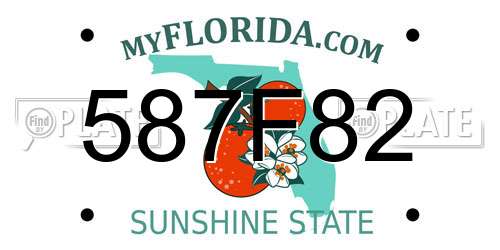 587F82 Florida License Plate