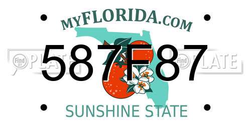 587F87 Florida License Plate