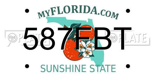 587FBT Florida License Plate