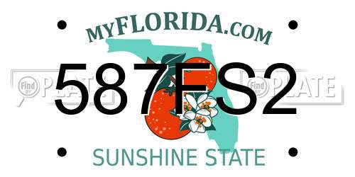 587FS2 Florida License Plate